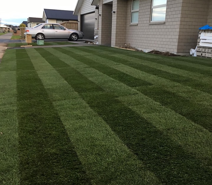 Hydroseeding and Landscaping Services Christchurch Canterbury Hydroseeding and Landscaping Services Christchurch Canterbury