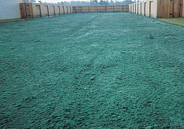 Spray On Lawn Hydroseeding Christchurch and Rolleston Spray On Lawn Hydroseeding Christchurch and Rolleston